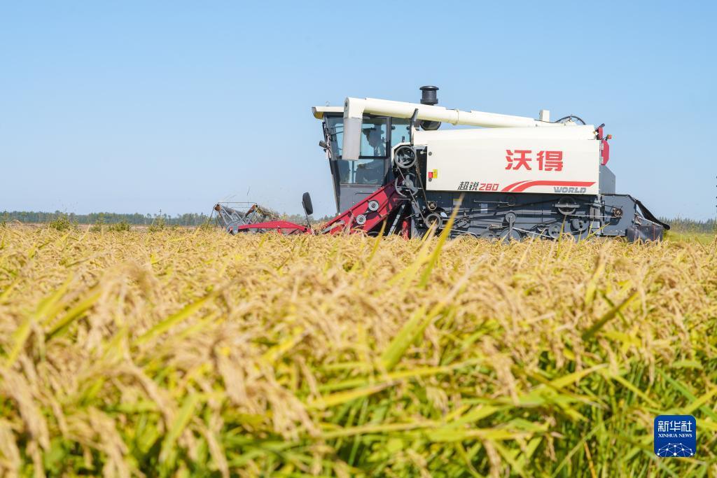 大赢家游戏官网